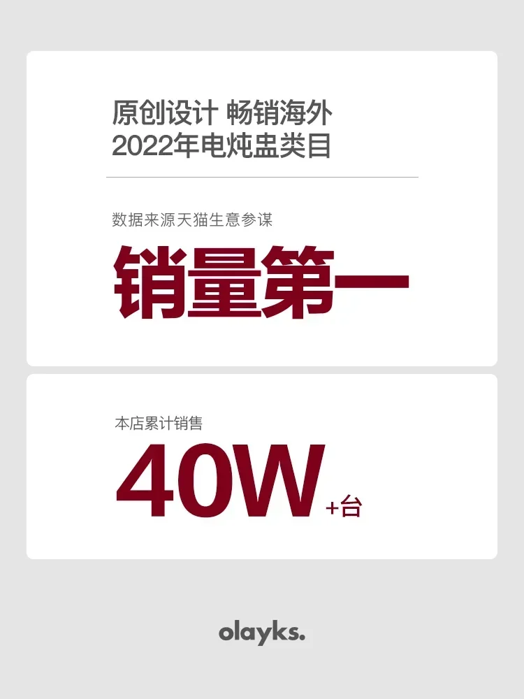 220V Small Electric Cooker, Ba - Baby Food Home 评论和价格