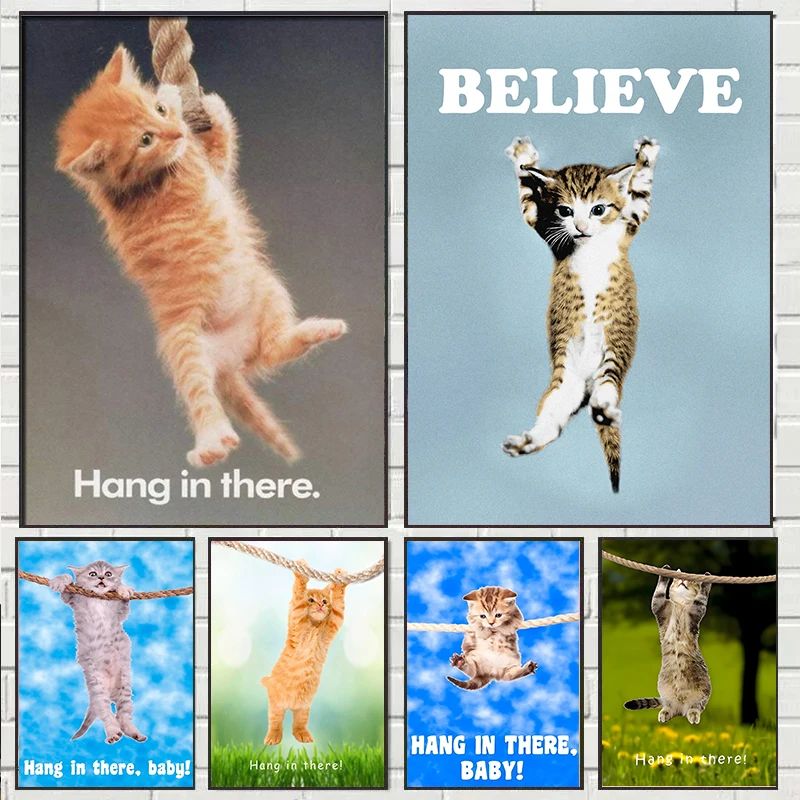 Hang In There Baby Cute Cat Yo - Baby Food Oil 评论和价格